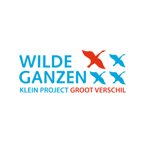 Wilde ganzen